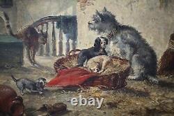 19th, Ancient Painting, Animals, Dogs, Chiots And Cat, Oil On Wood, Signed