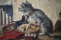 19th, Ancient Painting, Animals, Dogs, Chiots And Cat, Oil On Wood, Signed