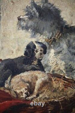 19th, Ancient Painting, Animals, Dogs, Chiots And Cat, Oil On Wood, Signed