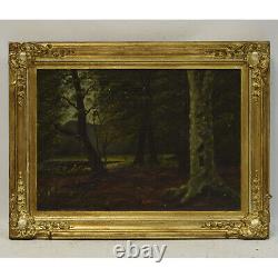 About 1900 Ancient Oil Painting On Canvas Forest Landscape 62x47 CM