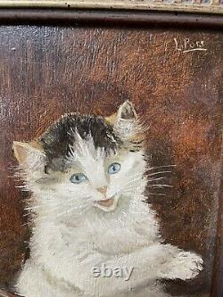 Ancien Table Oil On Chaton Chat Panel Signed End 19 Eme