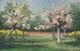 Ancient Landscape Table Oil Painting On Canvas Tree In Bloom