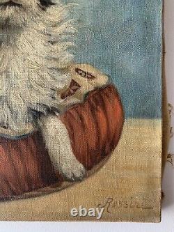 Ancient Oil Painting On Canvas Signed Rossini Representing A Dog 50s