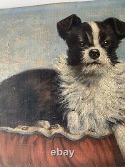 Ancient Oil Painting On Canvas Signed Rossini Representing A Dog 50s