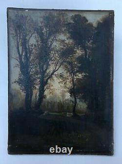 Ancient Painting, Barbizon, Oil On Canvas, Undergrowth Landscape, Trees, 19th Century