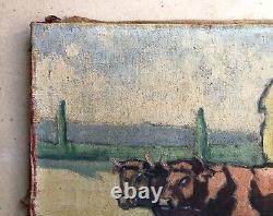 Ancient Painting, Beefs, Oil On Canvas Early 20th, Signature To Identify