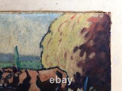 Ancient Painting, Beefs, Oil On Canvas Early 20th, Signature To Identify