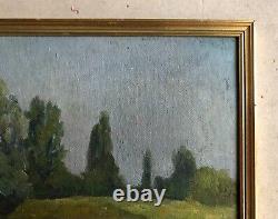 Ancient Painting, Framed, Arborated Landscape, Oil On Canvas Early 20th Century