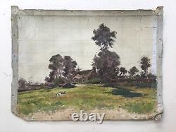 Ancient Painting, Oil On Canvas, Cow In A Landscape, Painting, Early 20th Century