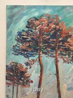 Ancient Painting, Pines By The Sea, Southwest, Oil On Panel, Middle 20th Century