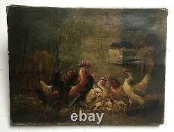 Ancient Painting Signed, Oil On Canvas, Chicken, 19th Century