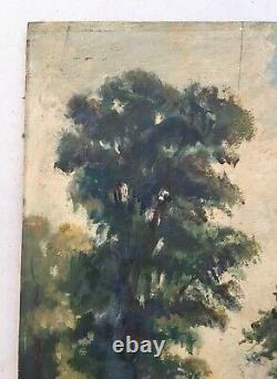 Ancient Painting, Wooded Path, Oil On Panel, Painting, Late 19th Century