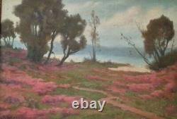 Ancient Painting Xixé Framed By J. Enders Oil 33cm X 46cm Field Of Flowers