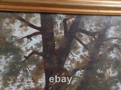 Antique Oil Painting on Paper from the Barbizon School of the 19th Century in Gilded Wood Frame