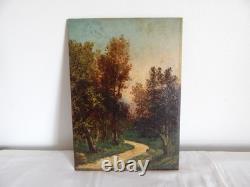 Antique Oil Painting on Wooden Panel, Forest Landscape, Barbizon School