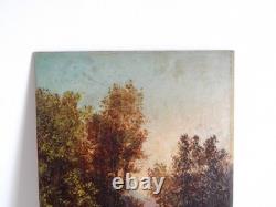 Antique Oil Painting on Wooden Panel, Forest Landscape, Barbizon School