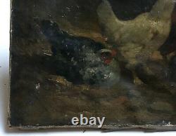 Antique Painting Signed, Signature, Oil On Canvas, Poules, Painting, 19th Century