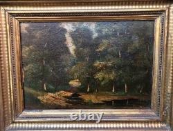 Antique signed painting. Woodland landscape. Oil painting on wooden panel