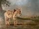 Beautiful Oil Painting Portrait On Canvas, Antique Art 1900 19th Century Animal Old