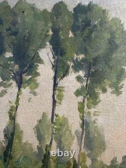 Christian Couillaud (1904-1964) Old oil on canvas view of the Poitevin Marsh
