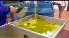 Country South De L Europe The Olive Oil D A Crisis In The Crisis