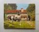 Cow In Front Of A Farmhouse, Antique Painting, Painting, Signature To Identify, 20th Century