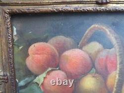 Former Framed Painting 19th Oil On Canvas Still Life With Fruit Entably