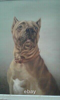 Former Oil Painting On Canvas. Portrait Dog. Signed