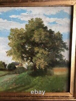 Former Painting 19th Landscape Of The Haute Marne By J Petillon 3524 CM Hc