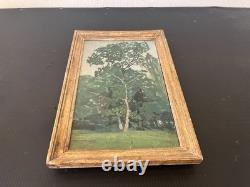 Framed antique painting by Gaëtan Dumas (1879–1950) / Tree study, oil on panel