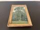 Framed Antique Painting By Ga&euml;tan Dumas (1879&ndash;1950) / Tree Study, Oil On Panel