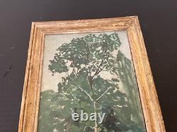Framed antique painting by Gaëtan Dumas (1879–1950) / Tree study, oil on panel