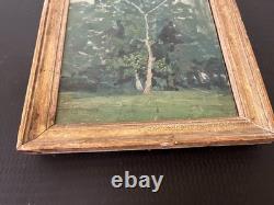 Framed antique painting by Gaëtan Dumas (1879–1950) / Tree study, oil on panel