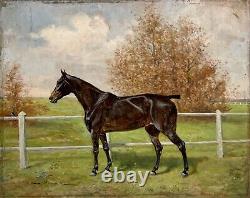 Horse In A Meadow, Old Painting