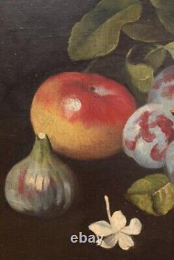 Italian still life fruit oil painting on canvas in ancient style 900