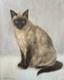 J. Ramaugé, Portrait Of A Siamese Cat, Oil On Cardboard, Old Painting