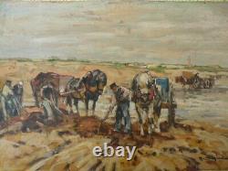 Julius Seyler Beautiful And Large Old Oil Painting On Cardboard Gatherers Of Seaweed