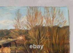 Meadow near Antibes, oil on cardboard, antique painting, 1892