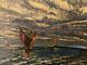 Oil Painting On Canvas 1920 Sea Ocean Boat Marine Antique Art To Identify
