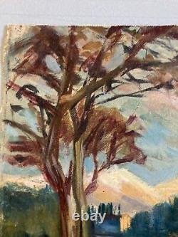 Oil Painting on Canvas Landscape Tree 1940 Expressionist Antique to Identify