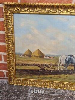 Oil on Canvas, Draft Horse Late 19th Century, Painting
