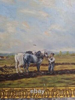 Oil on Canvas, Draft Horse Late 19th Century, Painting