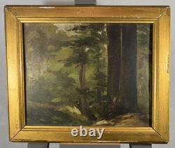 Oil on panel study of a tree French School 19th century in its antique frame
