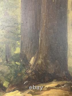 Oil on panel study of a tree French School 19th century in its antique frame