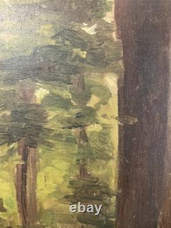 Oil on panel study of a tree French School 19th century in its antique frame