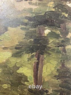 Oil on panel study of a tree French School 19th century in its antique frame