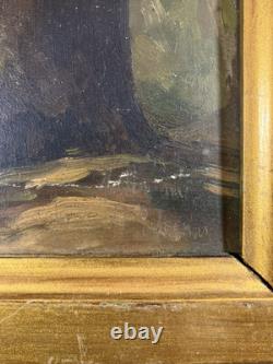 Oil on panel study of a tree French School 19th century in its old frame