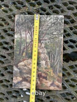 Oil on wood panel & old painting & forest & tree & ruins