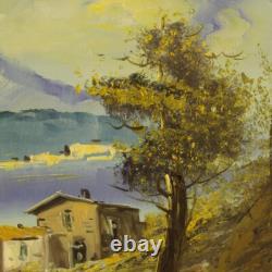 Oil painting on canvas landscape signed lake framed in antique style 900