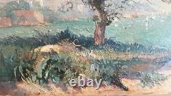 Old Oil On Wood, Tree, Landscape, Seafront